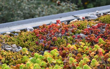 the cost of Moses Gate green roof installation