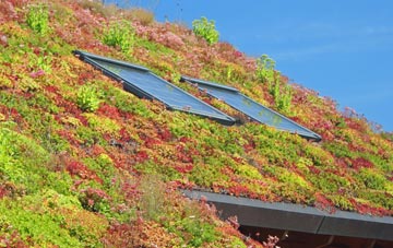 Moses Gate living roof systems