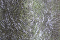 Moses Gate fibreglass roof work